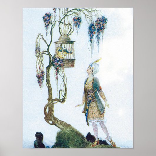 Vogelkäfige und Prinzessinnen Poster (Vorne)