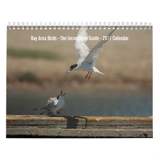 Vogelkalender 2011 im Gebiet der Bucht Kalender (Titelbild)