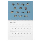 Vogelkalender 2011 im Gebiet der Bucht Kalender (Mär 2027)
