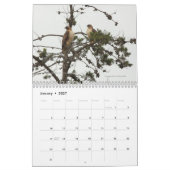 Vogelkalender 2011 im Gebiet der Bucht Kalender (Jan 2027)