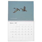 Vogelkalender 2011 im Gebiet der Bucht Kalender (Feb 2027)