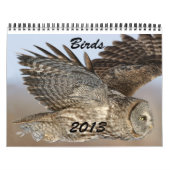 Vogelkalender 2013 kalender (Titelbild)