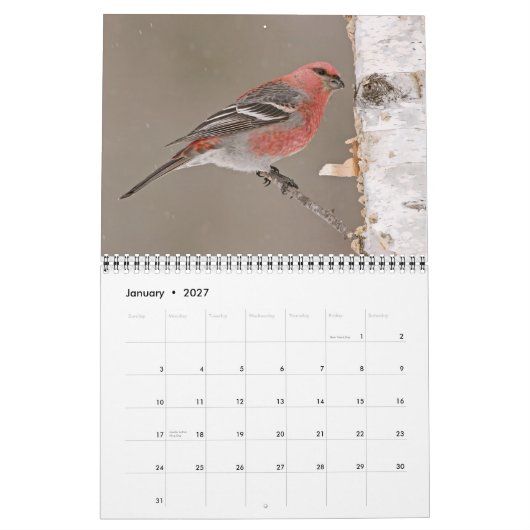 Vogelkalender 2013 kalender (Jan 2027)