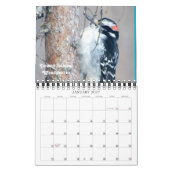 Vogelkalender 2016 aus meinem Fenster Kalender (Jan 2027)