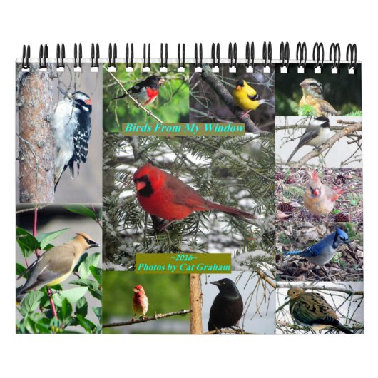 Vogelkalender 2016 aus meinem Fenster Kalender (Titelbild)