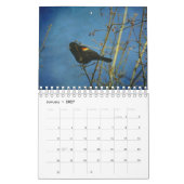 Vogelkalender 2017 kalender (Jan 2027)
