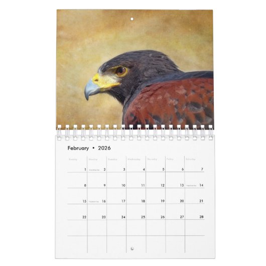 Vogelkalender 2017 kalender (Feb 2026)