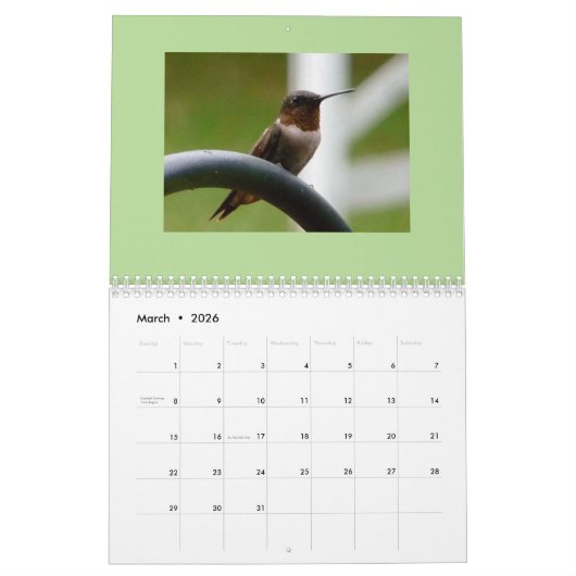 Vogelkalender 2019 kalender (Mär 2026)