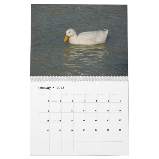 Vogelkalender 2019 kalender (Feb 2026)