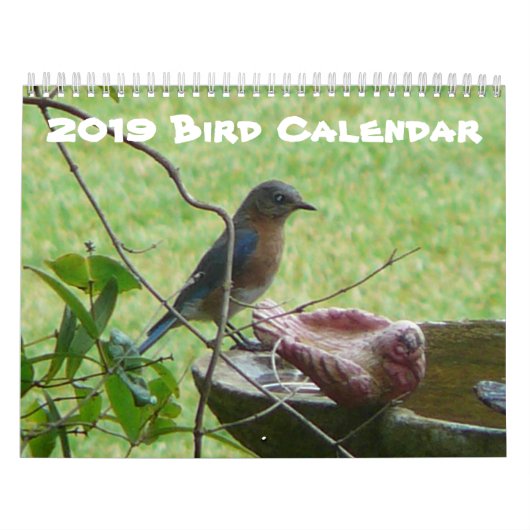 Vogelkalender 2019 kalender (Titelbild)