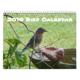 Vogelkalender 2019 kalender