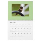 Vogelkalender 2019 kalender (Mär 2027)