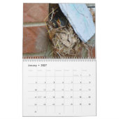 Vogelkalender 2019 kalender (Jan 2027)