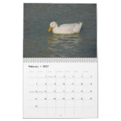 Vogelkalender 2019 kalender (Feb 2027)