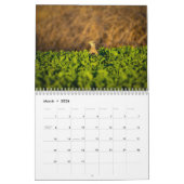 Vogelkalender 2020 kalender (Mär 2026)