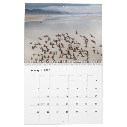 Vogelkalender 2020 kalender (Jan 2026)