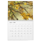 Vogelkalender 2020 und Blume Kalender (Mär 2027)