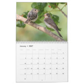 Vogelkalender 2020 und Blume Kalender (Jan 2027)