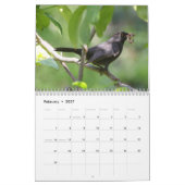 Vogelkalender 2020 und Blume Kalender (Feb 2027)