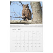 Vogelkalender 2021 kalender (Jan 2027)
