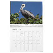 Vogelkalender 2021 kalender (Feb 2027)