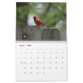 Vogelkalender 2023 kalender (Mär 2027)