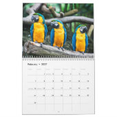 Vogelkalender 2023 kalender (Feb 2027)