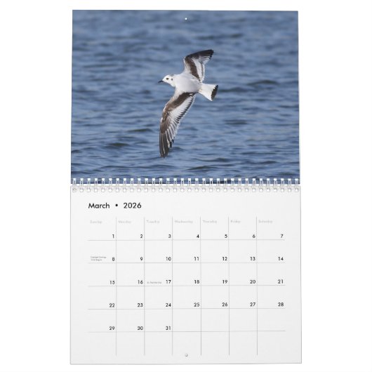 Vogelkalender 2023 kalender (Mär 2026)