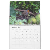 Vogelkalender 2023 kalender (Feb 2026)