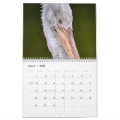 Vogelkalender 2025 kalender (Mär 2026)