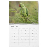 Vogelkalender 2025 kalender (Mär 2027)