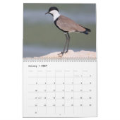Vogelkalender 2025 kalender (Jan 2027)