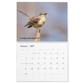 Vogelkalender 2025 kalender (Feb 2027)