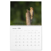 Vogelkalender 2025 kalender (Jan 2026)