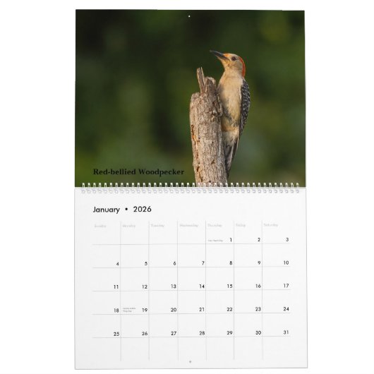Vogelkalender 2025 kalender (Jan 2026)