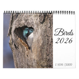 Vogelkalender 2026 kalender