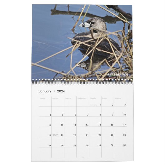 Vogelkalender 2026 kalender (Jan 2026)