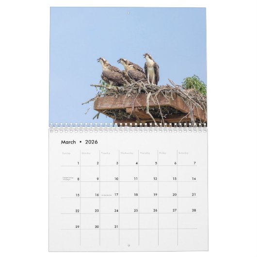 Vogelkalender 2026 kalender (Mär 2026)