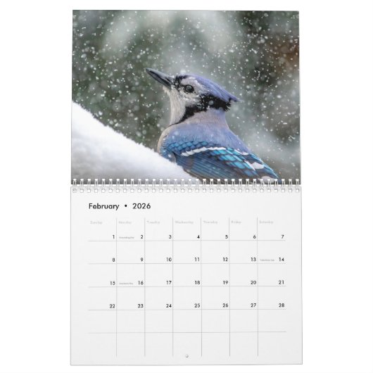 Vogelkalender 2026 kalender (Feb 2026)