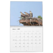Vogelkalender 2026 kalender (Mär 2027)