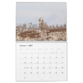 Vogelkalender 2026 kalender (Jan 2027)