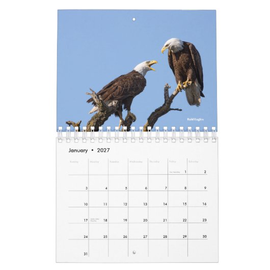 Vogelkalender 2026 kalender (Jan 2027)