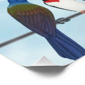 Vogelkalender 2026 poster (Ecke)