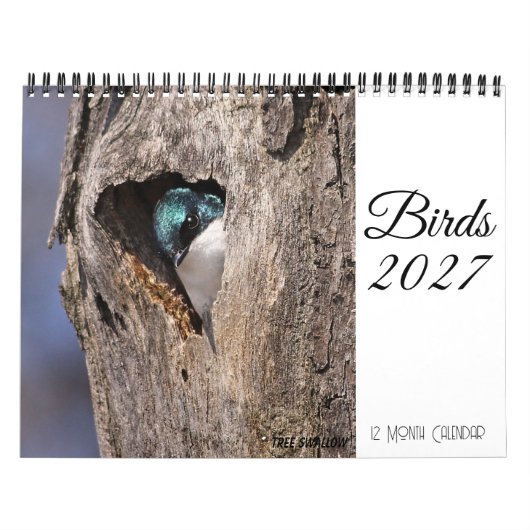 Vogelkalender 2027 kalender (Titelbild)
