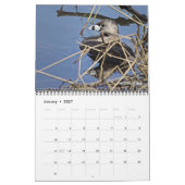 Vogelkalender 2027 kalender (Jan 2027)