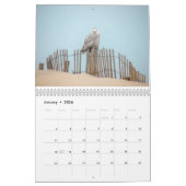 Vogelkalender an der Ostküste Kalender (Jan 2026)