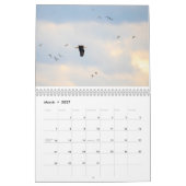 Vogelkalender an der Ostküste Kalender (Mär 2027)
