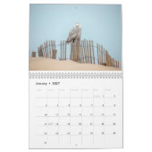 Vogelkalender an der Ostküste Kalender (Jan 2027)
