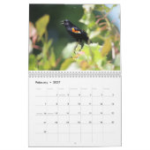 Vogelkalender an der Ostküste Kalender (Feb 2027)