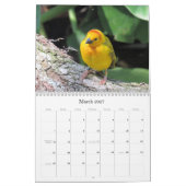 Vogelkalender für Hinterhofplätze Kalender (Mär 2027)